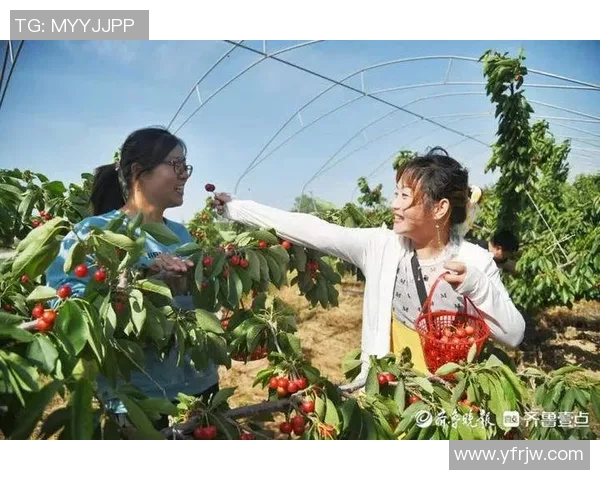 五谷丰登：探索五大主要农作物的种植技术与生态价值