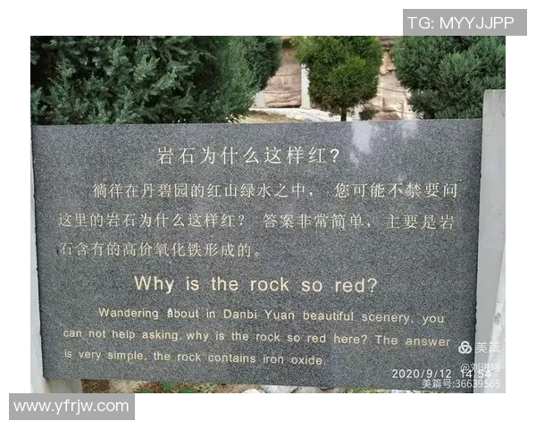 西安攀岩队状态分析与表现评估探讨及未来发展建议